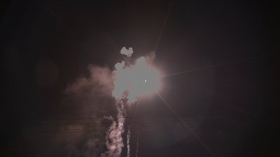 #19008 盆花1.2 50发数