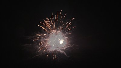 #19013 盆花1.2 100发数