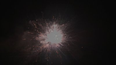 #19010 Cakes 1.2 70 shots