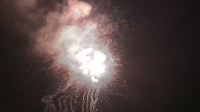 #19015 Cakes 1.2 150 shots