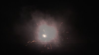 #19032 Cakes 1.2 100 shots