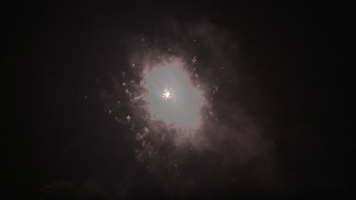 #19087 Compact 0.8 25 coups