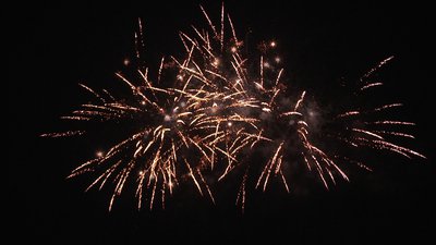 #18470 Cakes 1.0 30 shots