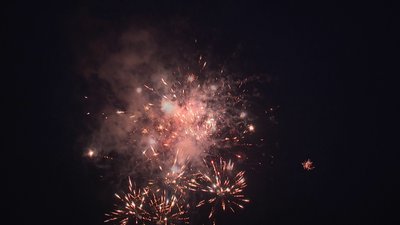 #19105 Cakes 0.8 25 shots