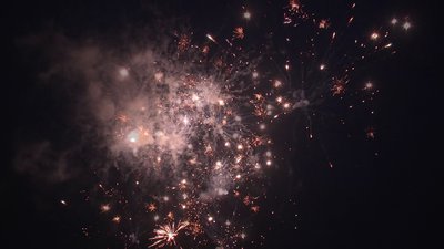 #19105 Cakes 0.8 25 shots