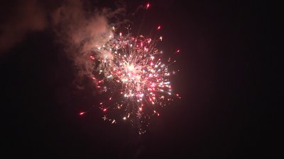 #19108 Cakes 1.0 25 shots