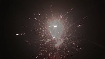 #19113 盆花1.2 18发数