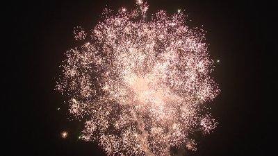 #19117 盆花1.2 39发数