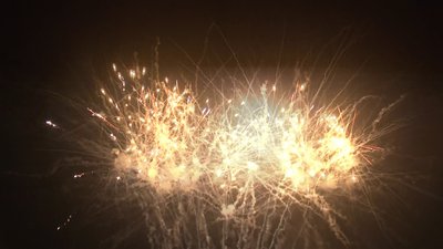 #19119 盆花1.2 72发数