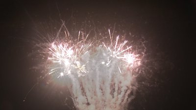 #19122 盆花1.2 405发数