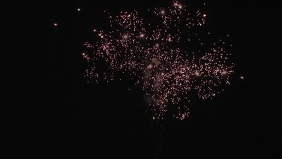 #19142 Cakes 10x0.8"/14x1.2" 24 shots