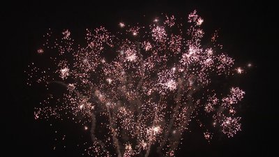 #19131 Cakes 1.2 20 shots