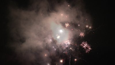 #19143 Module 盆花1.0 19发数