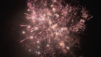 #19144 Module Cakes 1.2 25 shots