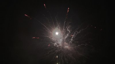 #19145 Module Cakes 1.2 25 shots