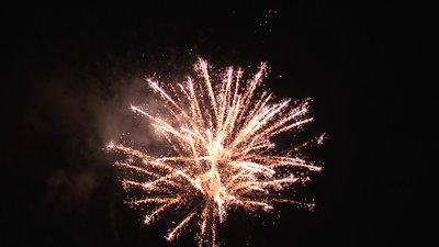 #13827 Cakes 1.5 36 shots