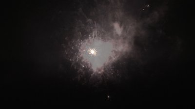 #14786 盆花1.2 37发数