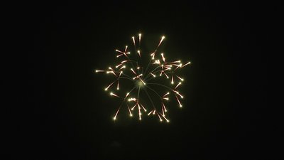 #18564 Shell 4.0"
