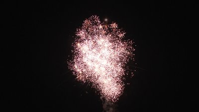 #15183 盆花1.0 36发数