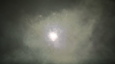#7690 盆花0.8 100发数