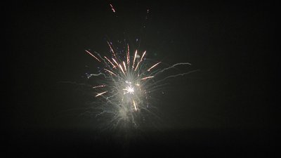 #15349 盆花1.0 42发数