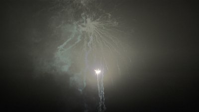 #19182 盆花1.2 25发数