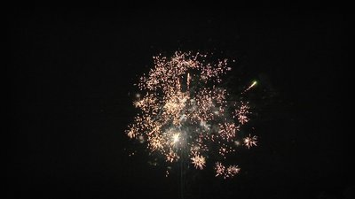 #15226 Tortas 0.8 16 tiros