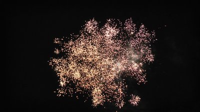 #15161 盆花0.8 25发数