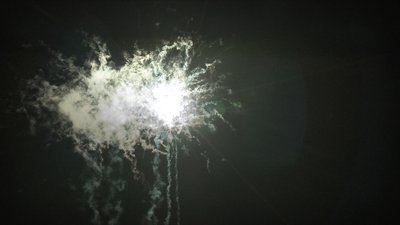 #7303 盆花0.8 16发数