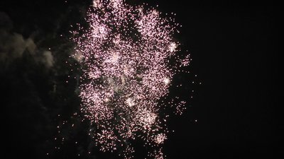 #15161 盆花0.8 25发数