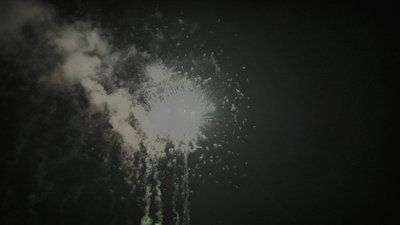 #15134 Cakes 1.0 25 shots