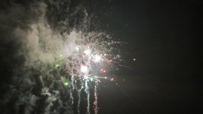 #15348 盆花1.0 25发数