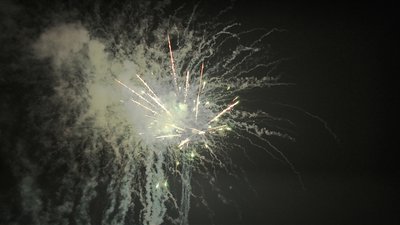 #15089 盆花1.0 36发数