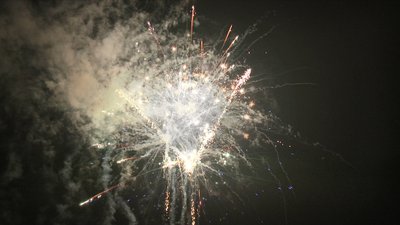 #14786 盆花1.2 37发数