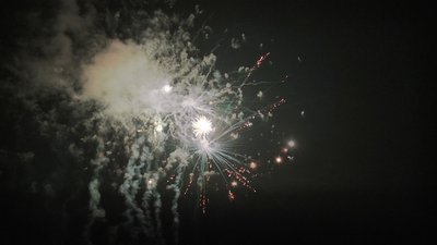 #15164 盆花1.0 36发数