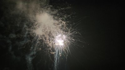 #15349 盆花1.0 42发数