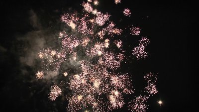 #16945 Cakes 1.0 13 shots