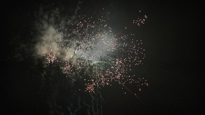 #15335 盆花1.0 16发数