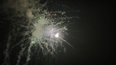 #15337 Cakes 1.0 49 shots