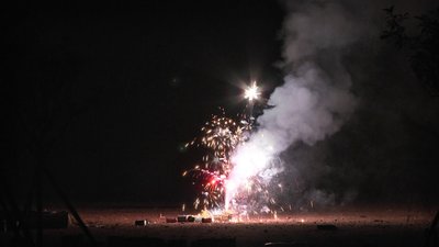 #17642 盆花0.8 9发数