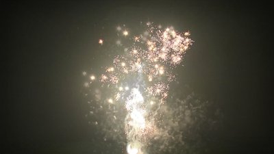 #19224 Cakes 1.2 49 shots