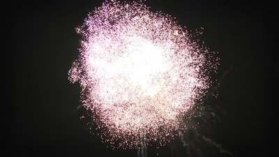 #19186 盆花1.2 49发数