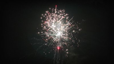 #19183 盆花1.0 36发数