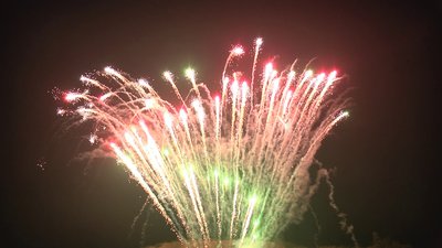 #19226 Cakes 1.2 195 shots