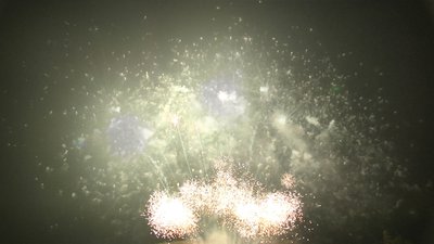 #19225 Cakes 1.2 90 shots