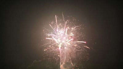 #19223 Cakes 1.2 150 shots