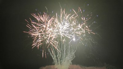 #19221 Cakes 1.2 100 shots