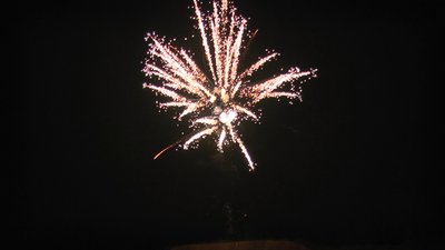 #19233 Tortas 1.2 15 tiros