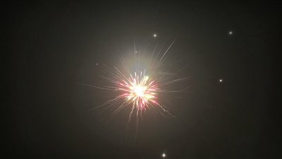 #25294 盆花1.2 36发数