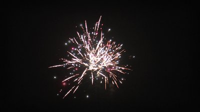 #19238 Cakes 1.2 20 shots